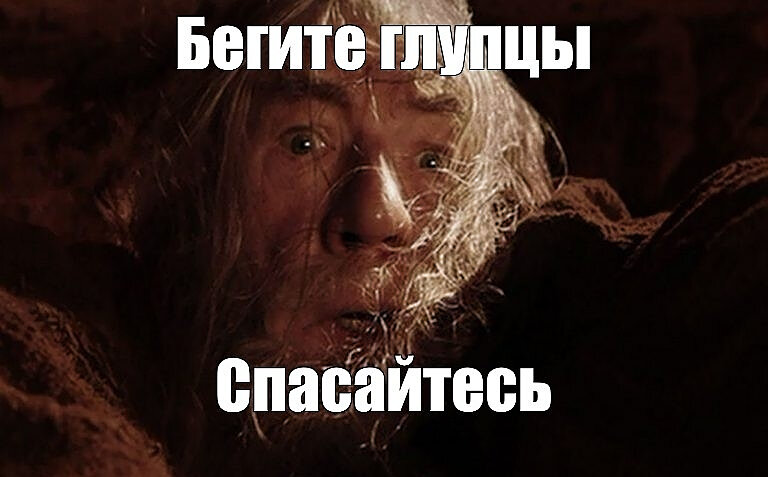 Читать далее о этой статье НАЗ грибника