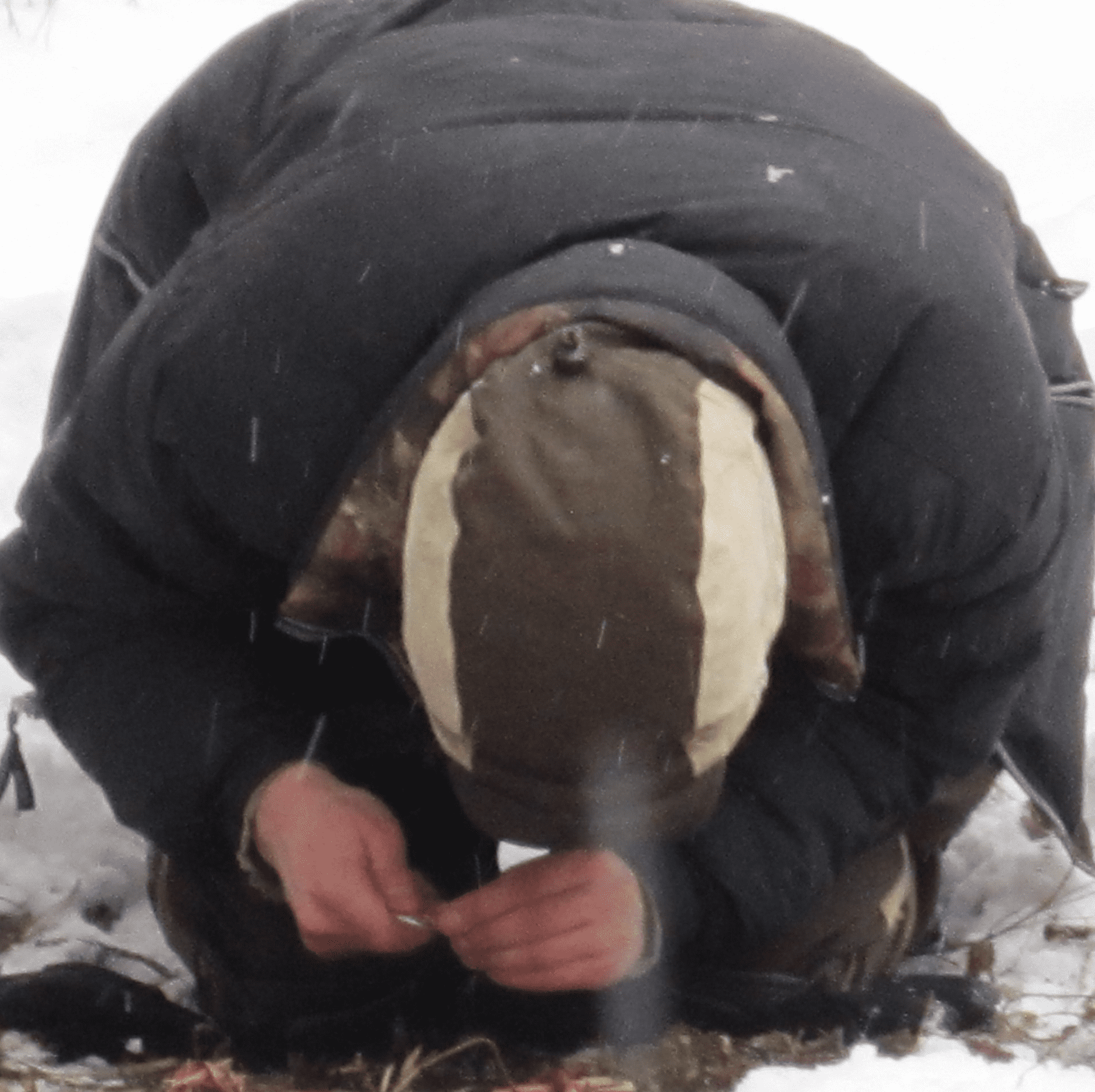 Вы сейчас просматриваете Наука выживания